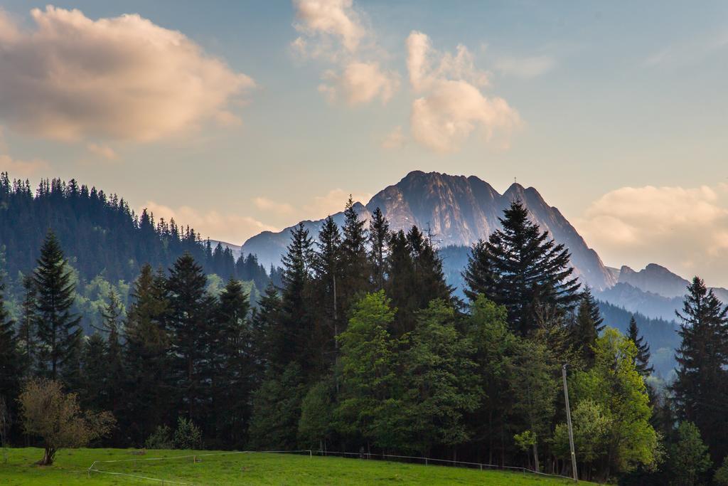 Stachoniowka 2 Zakopane